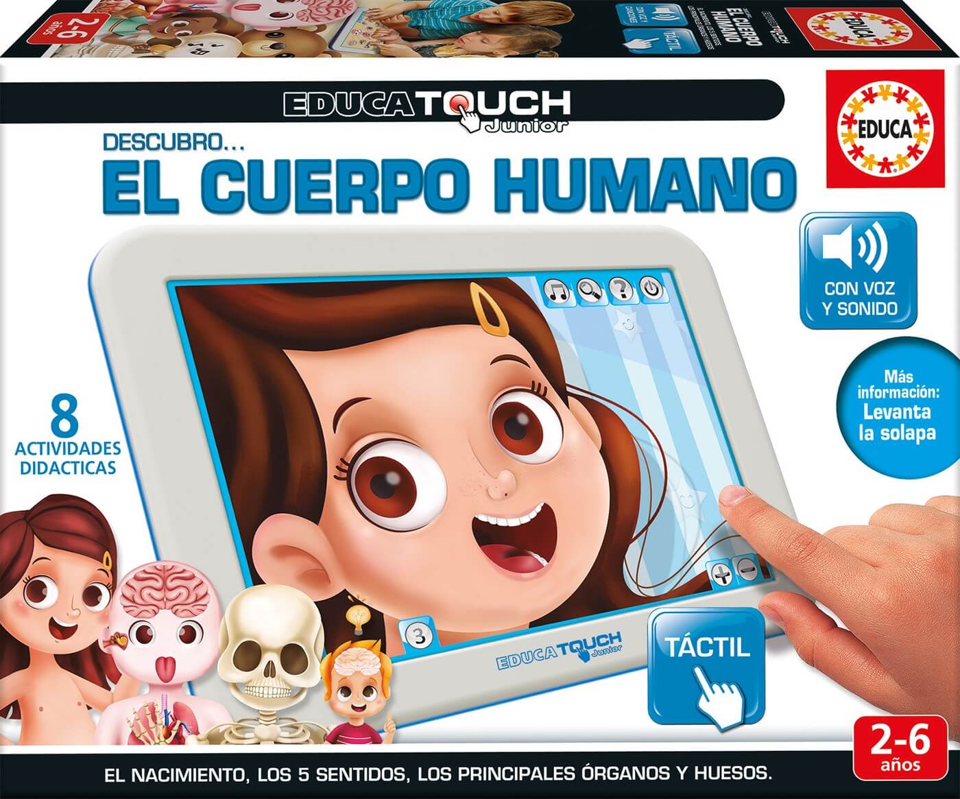 El Cuerpo Humano  |  Educa