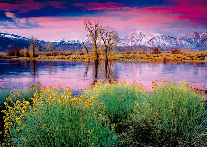 PUZZLE  La Rendicion del verano | EDUCA